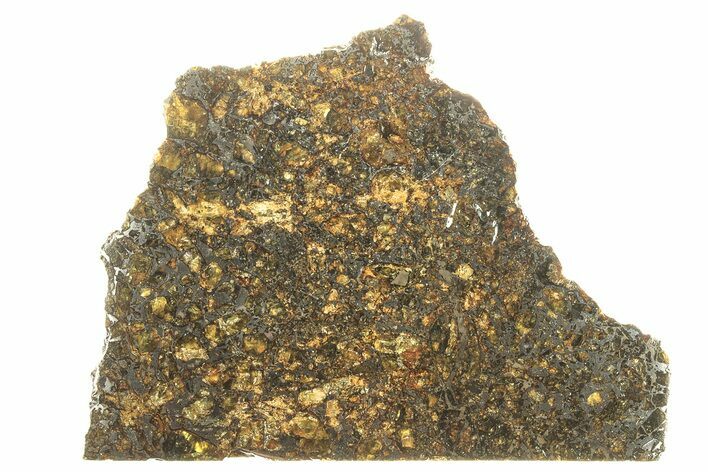Polished Admire Pallasite Meteorite ( g) Slice - Kansas #263321